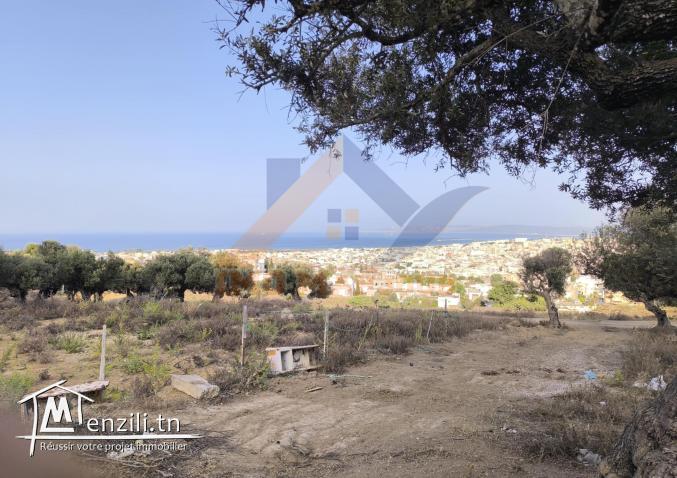 Terrain constructible à vendre à Borj Ghammez