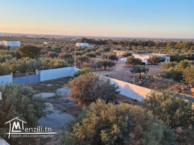 Terrain a vendre  de  1000m2 a Yasmine Hammamet.