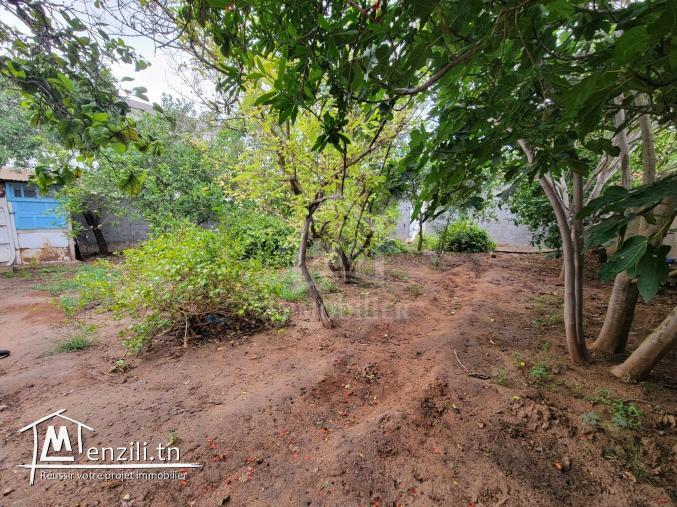 Terrain de 240 m² à Hammamet à vendre à 105 MD 51355351