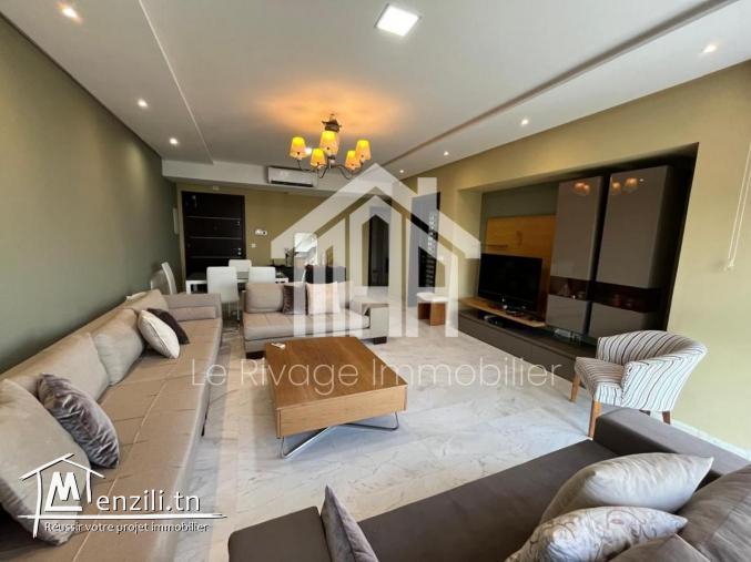 un appartement de 460 m2  avec jardin