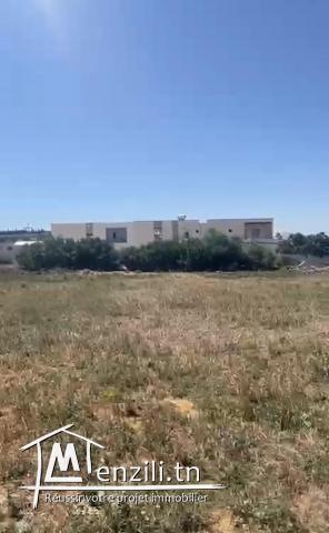 Terrain jedidi Hammamet