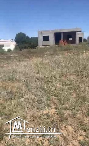 Terrain jedidi Hammamet