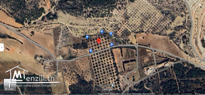 Superbe Lot de 5824m2, Titre bleu individuel