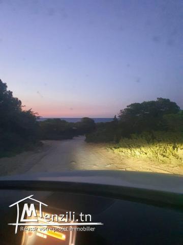 Excellente opportunité terrain à la grotte à Bizerte