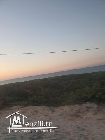 Excellente opportunité terrain à la grotte à Bizerte