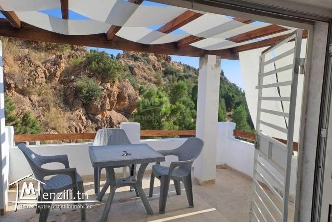 Location estivale: Villa S+3 avec piscine à louer 51355351