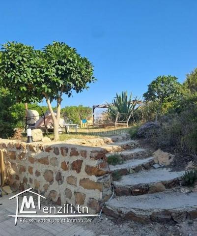 Location estivale: Villa S+3 avec piscine à louer 51355351