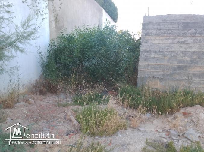 Terrain à vendre au Raoued