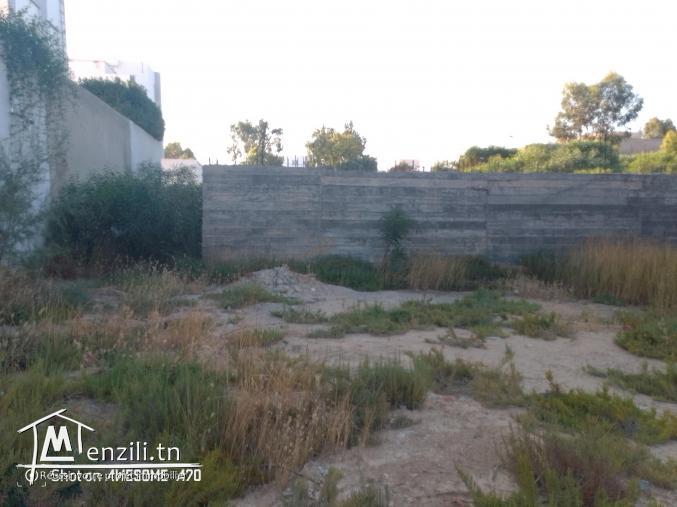 Terrain à vendre au Raoued