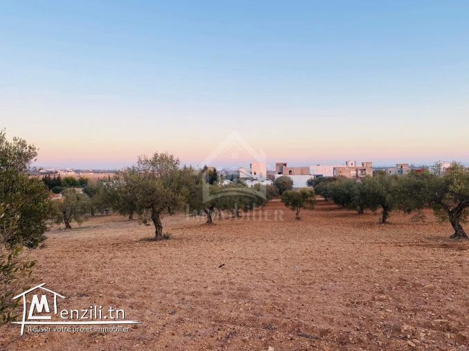 Terrain de 4018 m² à vendre à 200 dt/m² à Hammamet Sud 51355351