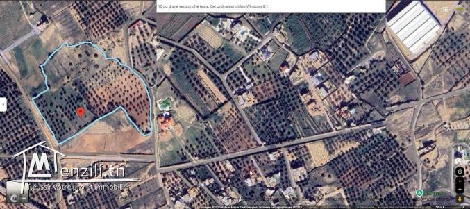 Vente Terrain de 5000 m2