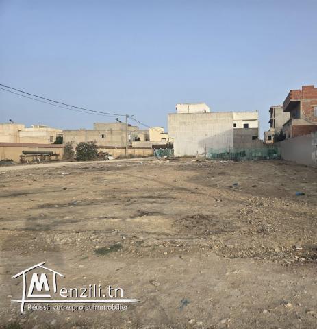 Terrain à Vendre Raoued 1000m² Constructible