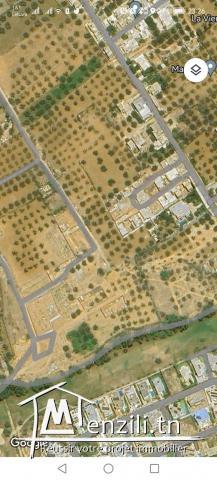 **Terrain à vendre – Golf El Kantaoui – 350 m²**