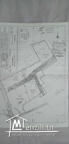 **Terrain à vendre – Golf El Kantaoui – 350 m²**