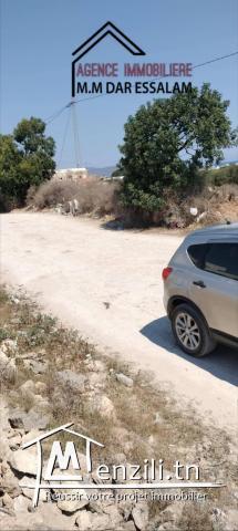 terrain près de la mer