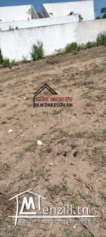 terrain près de la mer