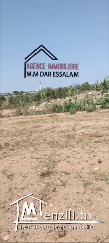 terrain près de la mer