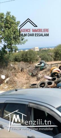 terrain près de la mer