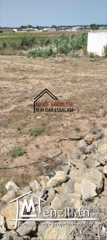 terrain près de la mer