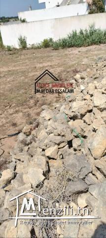 terrain près de la mer