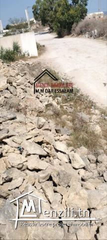 terrain près de la mer