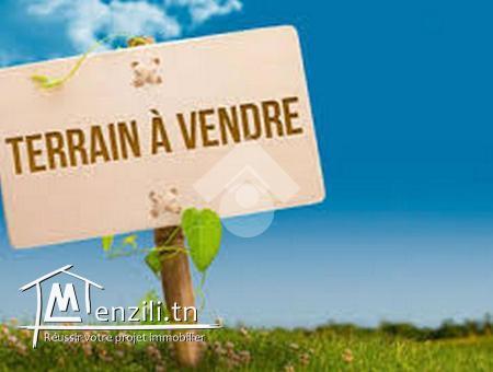 Terrain route tataouine près de lycée ibn sina