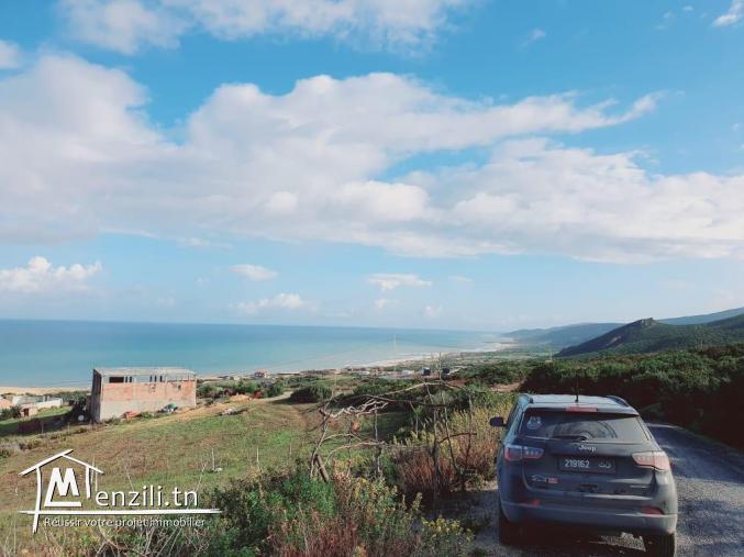 Terrain bizerte kef abbed