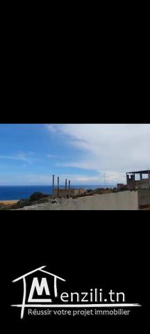 Terrain bizerte kef abbed