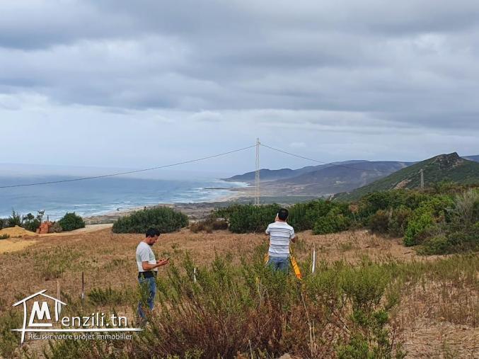Terrain bizerte kef abbed