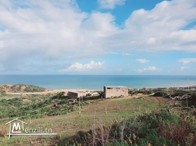 Terrain bizerte kef abbed