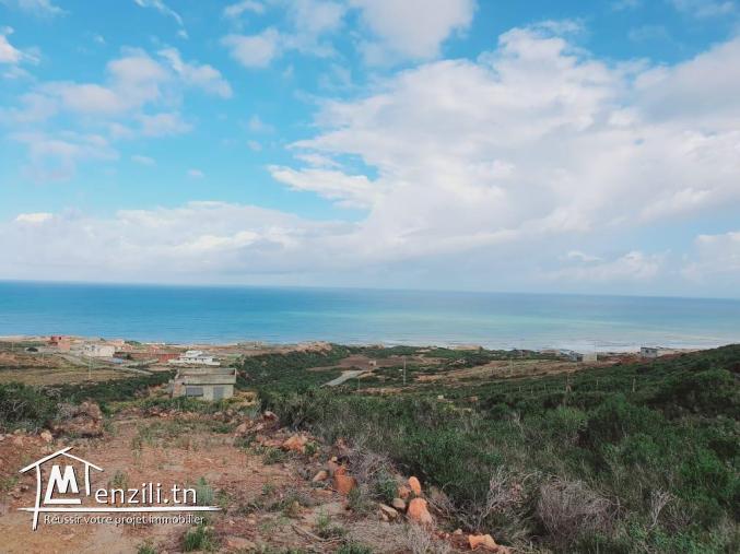 Terrain bizerte kef abbed