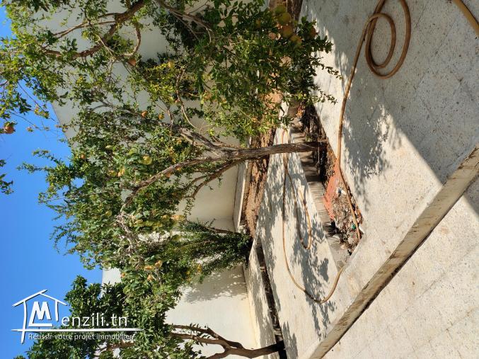 A VENDRE MAISON KSOUR ESSEF 15 MN CENTRE VILLE EN RDC