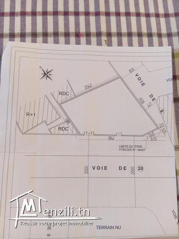 Terrain a ksar helllel