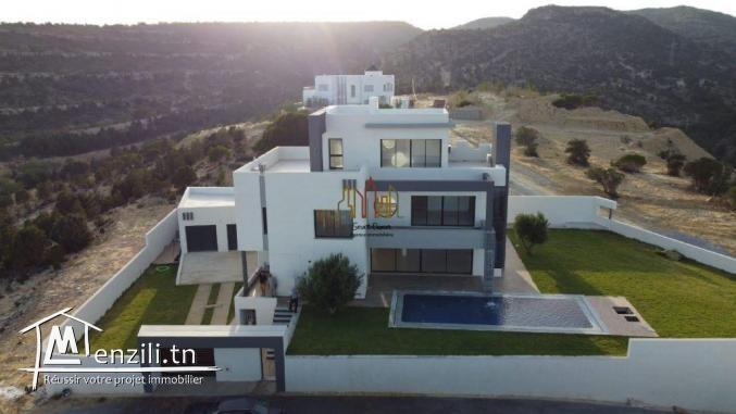 V447 Villa NARJES  HAMMAMET NORD