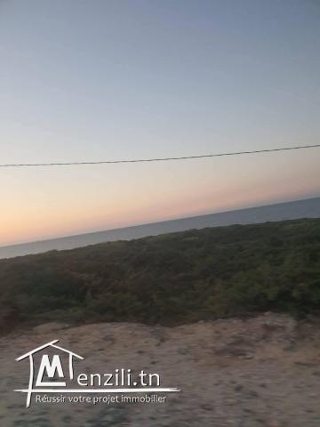Excellente opportunité terrain à l grotte Bizerte