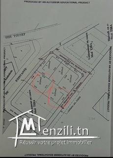 Terrain titré lotis à batir pour villa