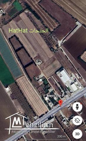 Terrain à vendre hathat أرض للبيع بالحتحات