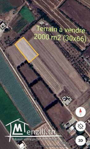 Terrain à vendre hathat أرض للبيع بالحتحات