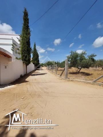 Terrain viabilisé de 600 m² à vendre à Hammamet 51355351