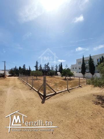 Terrain viabilisé de 600 m² à vendre à Hammamet 51355351