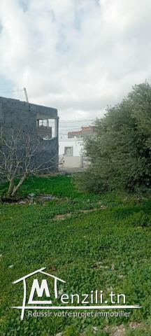 2 terrains à vendre à Korba