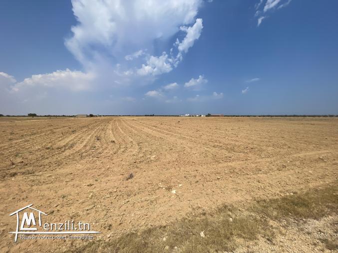 فرصة للبيع 58 هكتار