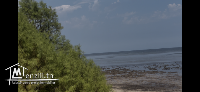 فرصة للبيع 58 هكتار