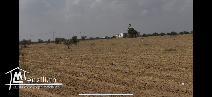 فرصة للبيع 58 هكتار