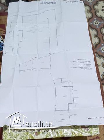 فرصة للبيع 58 هكتار