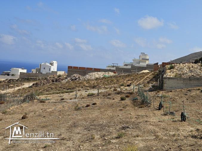 Terrain magnifique à demna metline - bizerte