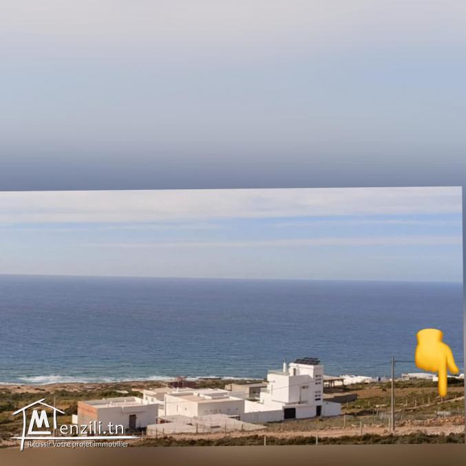 Terrain magnifique à demna metline - bizerte