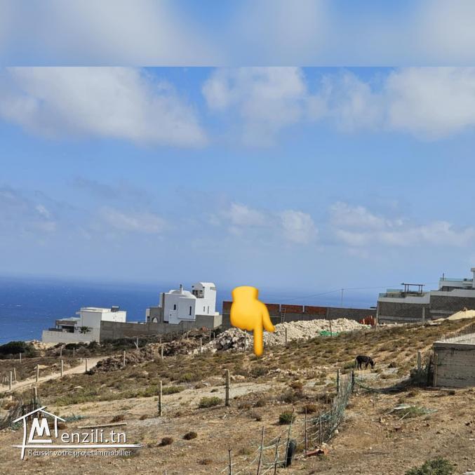 Terrain magnifique à demna metline - bizerte