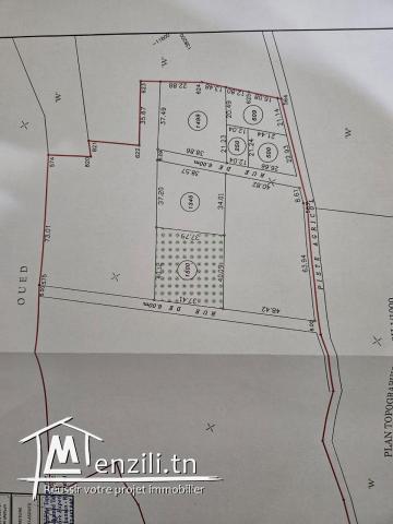 Terrain magnifique à demna metline - bizerte
