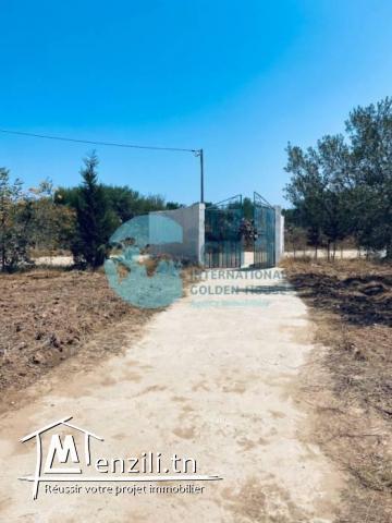 Ferme à Vendre  – À Quelques Minutes du Sousse Mall Proche Éco-Village